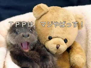 ＴＰＰのステートメント読みました？未来変わりますよ！