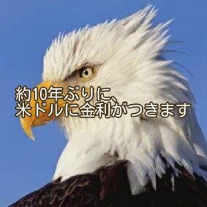 約１０年ぶりに、米ドルに「金利が付く」ってよ。