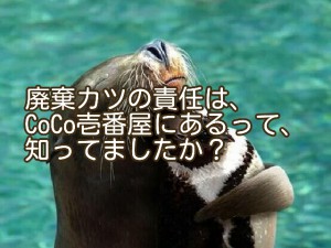 ココイチの廃棄カツ問題は、法律的にはココイチが悪い？