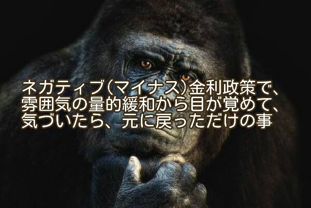 市場が混乱している様だけど、元に戻っただけじゃない？