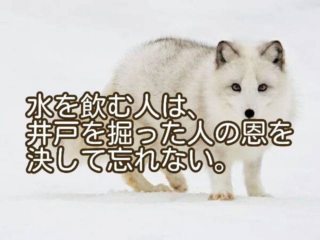 水を飲む人は井戸を掘った人の恩を忘れない、知ってます？