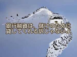 資金調達を考える時に、基本的に知っておくといい事♪