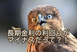 長期金利の利回りがマイナスになったら、どうなるのか？