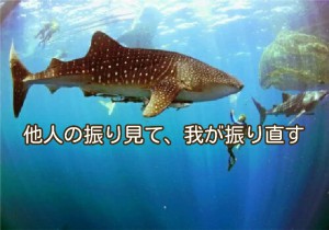 通貨安になると、どんな影響が出るの？韓国からの気付き