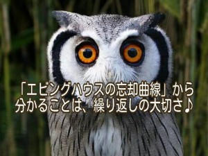 急がば回れ、エビングハウスの忘却曲線をご存知ですか？