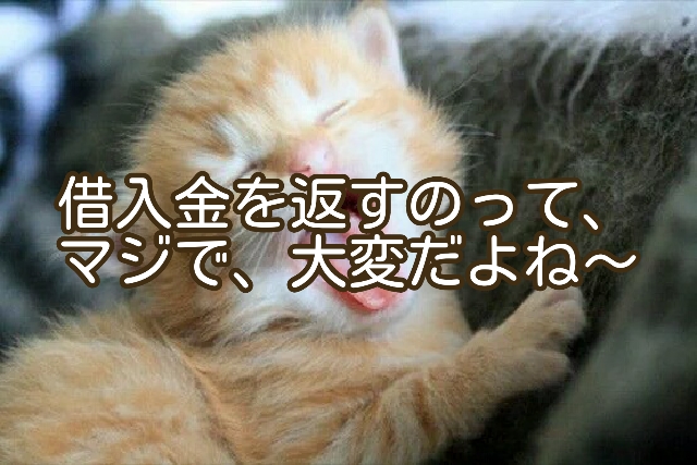 借入金を、全部返済するのって、本当に大変なんですよ…