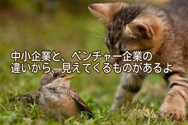 中小企業とベンチャー企業の、違うところと、大事なところ