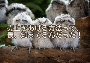 営業って、お客様を見つけるだけじゃなく、確実に成約しないとね！