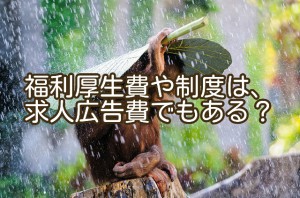 求職者が働きたいと思う会社に求める、意外な項目をご存知？