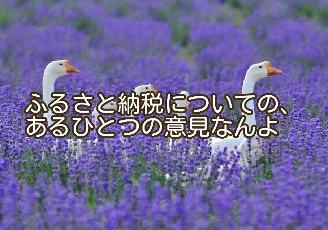 「ふるさと納税制度」から感じる、なんとなくの違和感…